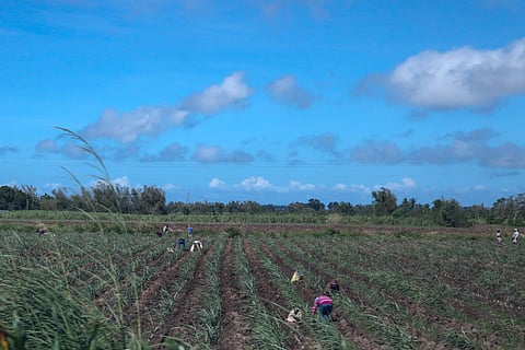 IN our fight against the impacts of climate change, an invisible enemy lurks in every breath we take — air pollution.