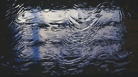 Student nurse mourns death of man she tried to save