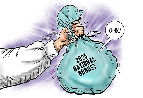 Budget stuffed with pork