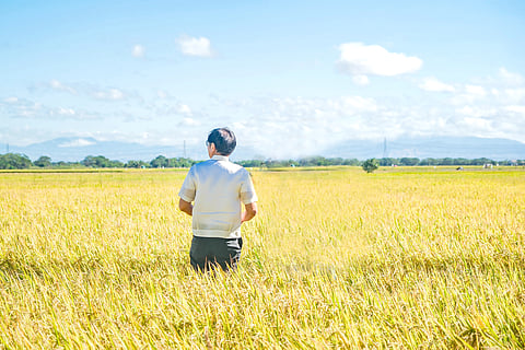 Bongbong builds on father’s legacy: Emancipated farmers’ loans condoned