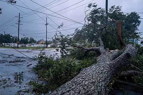 A fallen tree blocks an intersection on 11 September 2024 in Houma, Louisiana. Hurricane Francine has been upgraded to a Category 2 hurricane and continues to make landfall along the Louisiana coast. Weather analysts are predicting 90mph winds near the eye and a strong storm surge along the coast.