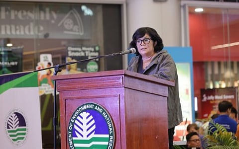 Environment Secretary Ma. Antonia Yulo-Loyzaga