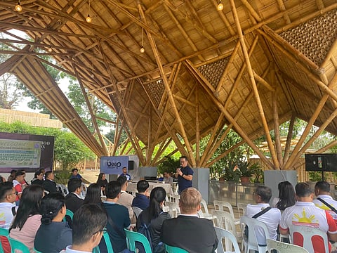 THE Sustainability Slingshot project of Rep. Joeman Alba promotes bamboo cultivation, supports local processing industries and creates livelihoods for farmers and artisans.
