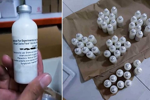 BAI reports mixed ASF vaccine results