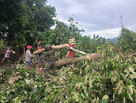 Troops from the Philippine Marines assist in clearing operations of fallen trees and debris swept away by the flood in a Palawan town.