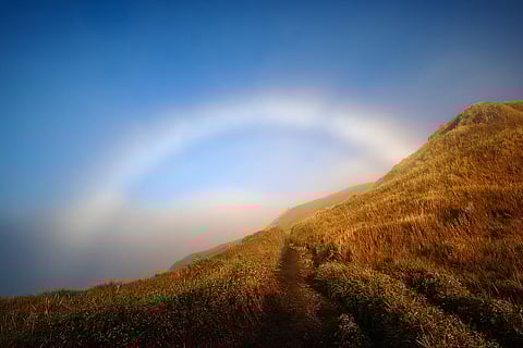 Fogbow at Mount Pulag