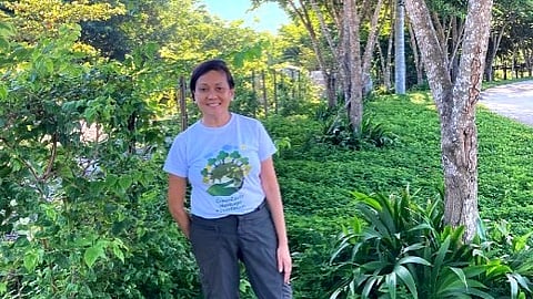 GreenEarth Heritage Foundation has embraced organic farming, with a particular focus on moringa, the highly-nutritious plant that not only addresses food security but also provides sustainable livelihood for their farmers. GreenEarth's moringa is certified organic by Ecocert France. GreenEarth founder and executive director, Mylene V. Matti, M.D., says, "The work we do at GreenEarth is for a lifetime and beyond."