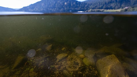 An iron cylinder lays on the bottom of Lake of Gerardmer in Gerardmer on 20 September 2024. Eighty years after the Liberation, Lake Gerardmer, in the Vosges, still hides several dozen tons of ammunition from the two world wars in its depths. At an altitude of 660 meters, in the middle of the mountains and close to a charming village, Lake Gérardmer is popular with tourists who swim there in the summer.