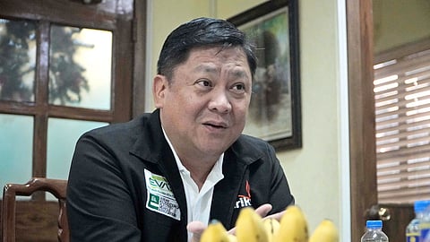 Electric Vehicles Association of the Philippines president Edmund Agara has high hopes for a homegrown EV industry to compete in the rising industry in the region.