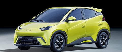 An attractive face that packs power.