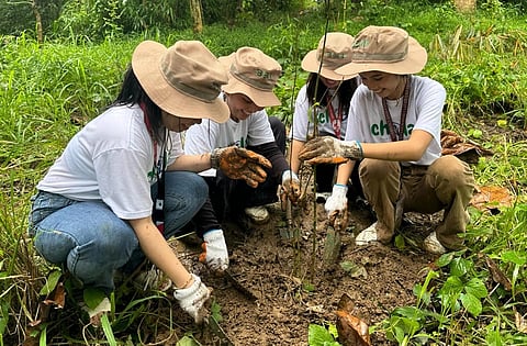 GNPD college scholars plant bamboo seedlings in Malinta Creek, Abucay, Bataan during World Bamboo Day on 18 September.