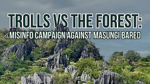 Trolls versus the forest: Misinfo campaign against Masungi bared