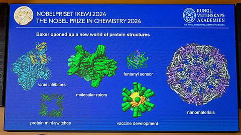 A screen displays details from the work of the winners of the 2024 Nobel Prize in Chemistry during the announcement by the Royal Swedish Academy of Sciences in Stockholm, Sweden on 9 October 2024. David Baker, Demis Hassabis, and John M. Jumper won the 2024 Nobel Prize in Chemistry for work on predicting the structure of proteins using artificial intelligence.
