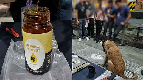 Gotcha! A contraband-sniffing dog of the Bureau of Customs-Clark, a Belgian Malinois, was able to detect high-grade marijuana resin passed off as keratin hair treatment.