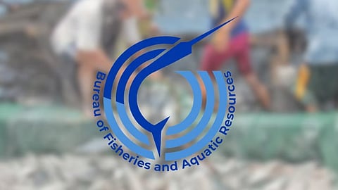 Trial for ex-BFAR execs to continue