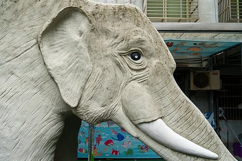 This photo taken on September 27, 2024 shows the head of a now-disused elephant slide which mimics Taiwan’s beloved pachyderm Lin Wang, at a kindergarten in Taipei. In playgrounds across Taiwan a jumbo surprise awaits children in the form of colourful elephant slides, evoking nostalgia for older Taiwanese who say these structures used to be ubiquitous across the island.