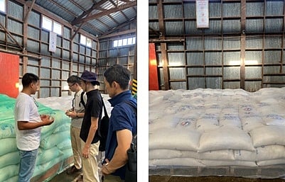 Japan earns plaudits for rice