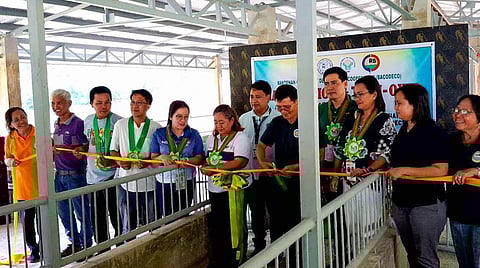 P5.5M for swine repopulation project