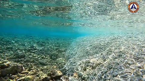 (FILE PHOTO) Rozul Reef