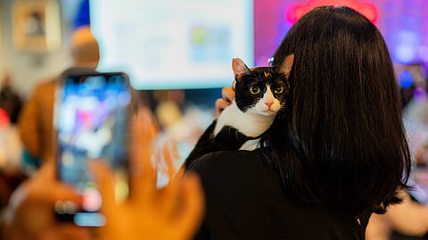 Photo courtesy of Hard Rock Cafe Manila.