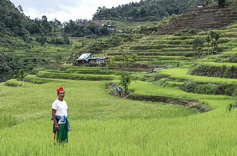 A beneficiary of SN Aboitiz Power’s PUNLA watershed management program, Juliano Diclihon, proudly shows the Ifugao Rice Terraces.