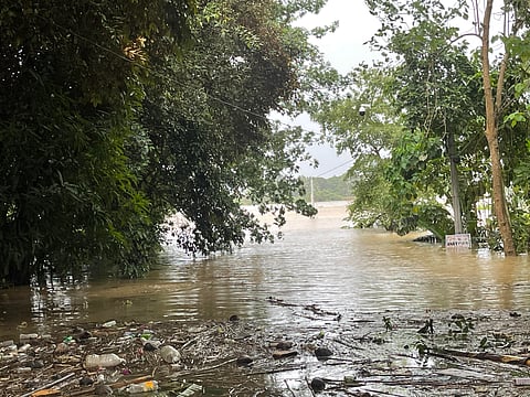 The flooded Alicaocao Bridge.