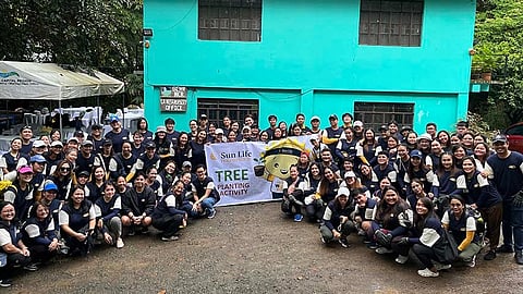 Champions of La Mesa