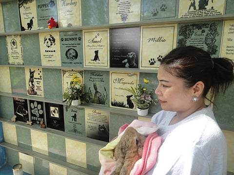 Fur babies are remembered on a Pet Memorial Wall.