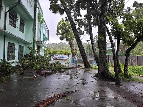 Aftermath of Severe Tropical Storm 'Kristine' (Photo courtesy of Bicol University)