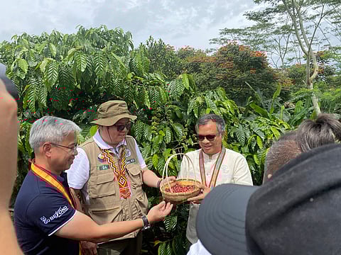 Agriculture Secretary Francis Tiu Laurel Jr. (center) checks the ripe coffee bean at the robusta coffee farm of Nestlé Philippines in Malaybalay, Bukidnon on Tuesday, with Nescafé Philippines head of Corporate Affairs (left) and DA Region 10 executive director Jose Pacamalan.