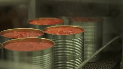 4 giant sardine factories in Zambo suspended