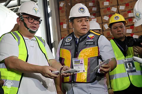 Smuggled frozen mackerel from China netted