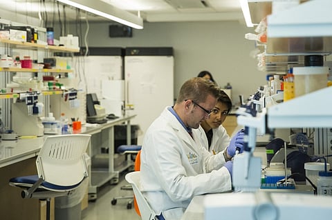 NEW YORK, NY - 19 SEPTEMBER: Research technicians prepare DNA samples to be sequenced in the production lab of the New York Genome Center on September 19, 2013 in New York City. The Center, which is already operating with a staff of 51 people, aims to sequence and analyze DNA for academic and commercial purposes; the Center hopes to have a staff of 500 people within five years. The institute's founding members include Columbia University, Memorial Sloan-Kettering Cancer Center, The Rockefeller University and New York University, amongst others.