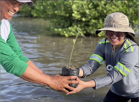 Volunteers from GMEC plant Avicennia and Sonneratia species in Barangay Kabalutan, Orani, Bataan.