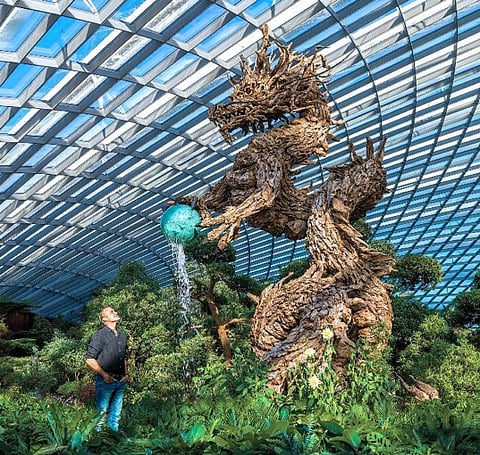 Globally-renowned driftwood sculptor James Doran-Webb