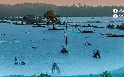 ‘Kristine’ damage to EV fishery exceeds P16M