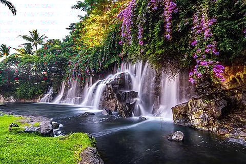 Hawaiian waterfalls.