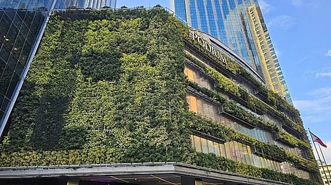 The Podium has the largest vertical green wall in the Philippines.