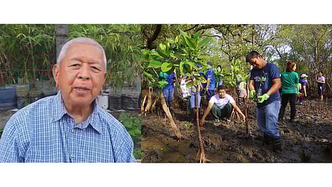 Volunteers (right) of ARAW ACI plant propagules in a mangrove nursery of the Subic Bay Freeport Zone. ARAW ACI president Renato ‘Abong’ Tayag Jr. (left) is always ready to help anyone who helps the environment.