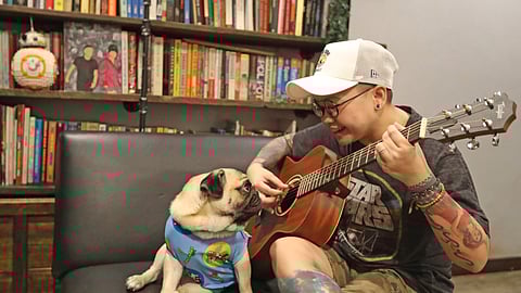 Ice with Chowder the Pug.