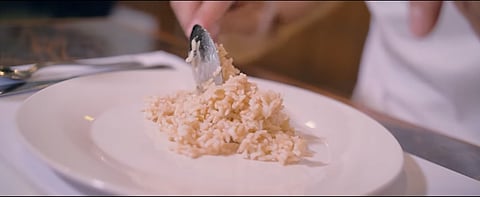 Rice is a journey from the fields and farmers to your plate.