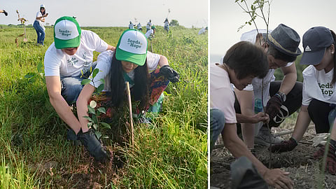 VOLUNTEERS from Citadines Bacolod City and Ascott Limited Philippines plant saplings in Barangay Felisa, Bacolod City (left) and in Payatas, Quezon City.