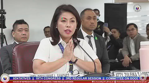 Screengrab from the YouTube House of Representatives Committee on Good Government and Public Accountability session on 20 Nov 2024.