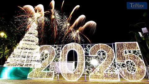 Festive lights aglow: SBMA lights Christmas tree at Subic Boardwalk