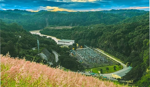 Third green auction spurs hydro surge