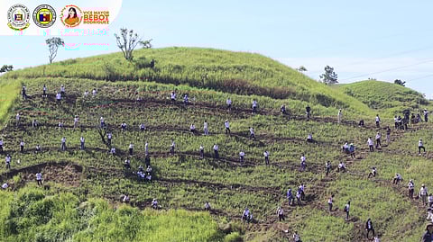 DOST sets Guinness World Record for bamboo planting