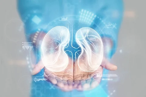 AI detection of kidney diseases still under trial