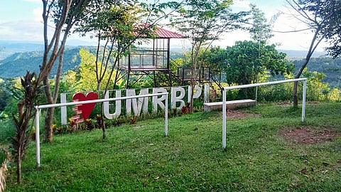 AN initial 4,000 hectares of degraded land will be reforested.