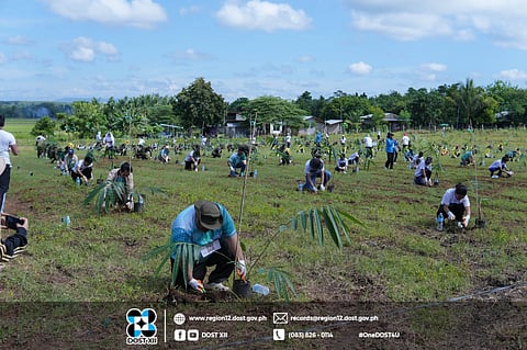 Some 300 volunteers from various national government agencies, local government units, state universities and colleges, private sectors and indigenous peoples groups planted bamboos in a field in Poblacion, Carmen, Cotabato.
