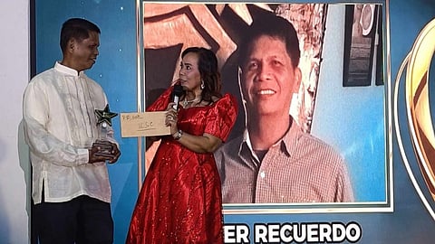 DT journo bags energy story plum